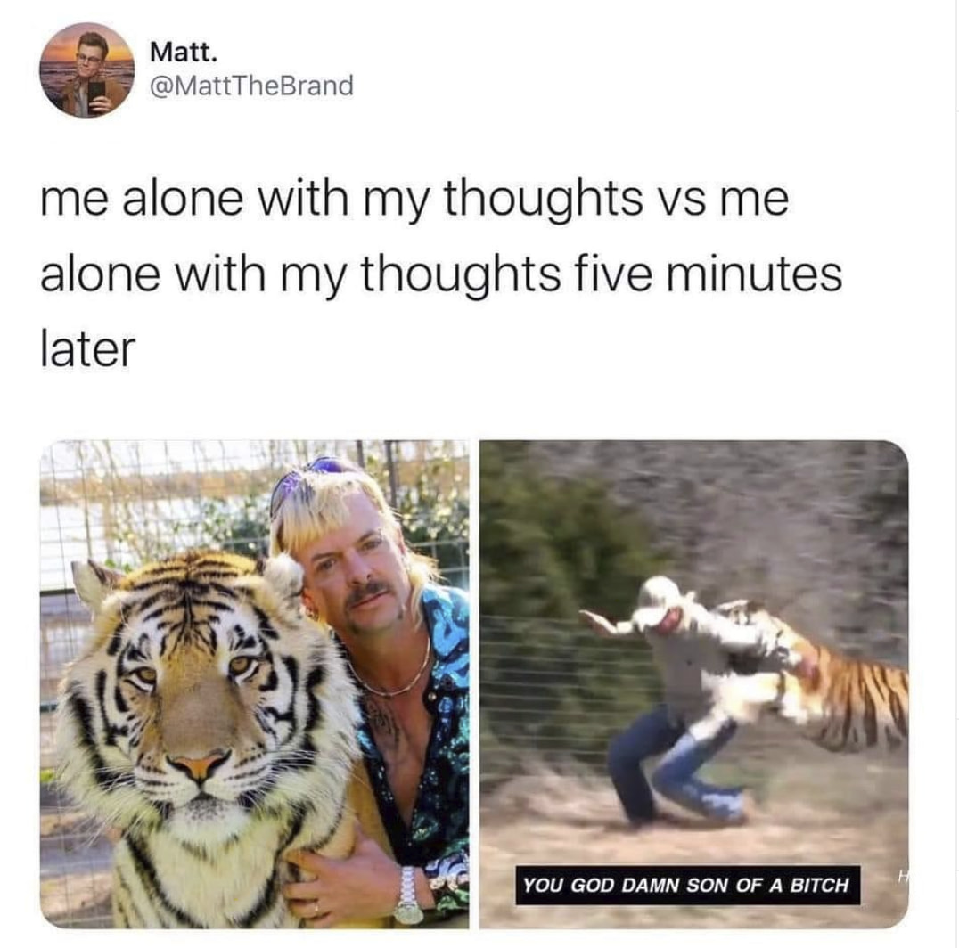 2e770d85535fbf23cabdf0f7