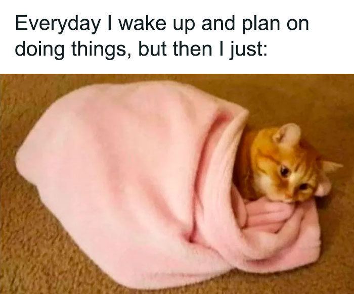 mental health memes & thearpy memes 16