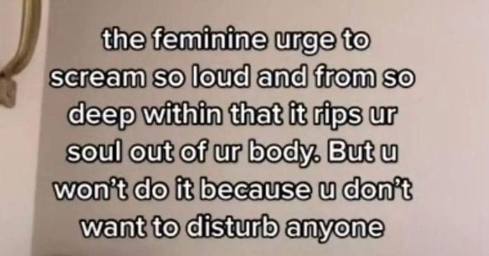 mentally-not-so-well-memes-6-63da603fcbbaa__700