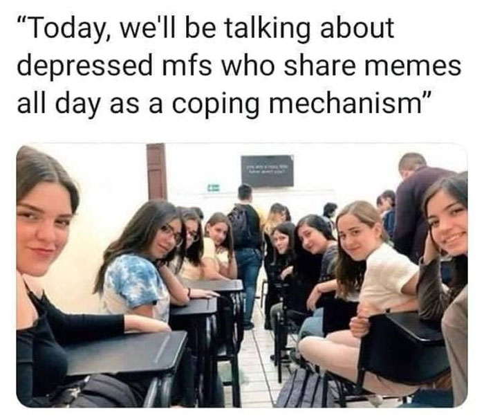 mentally-not-so-well-memes-66-63da60cb35e21__700