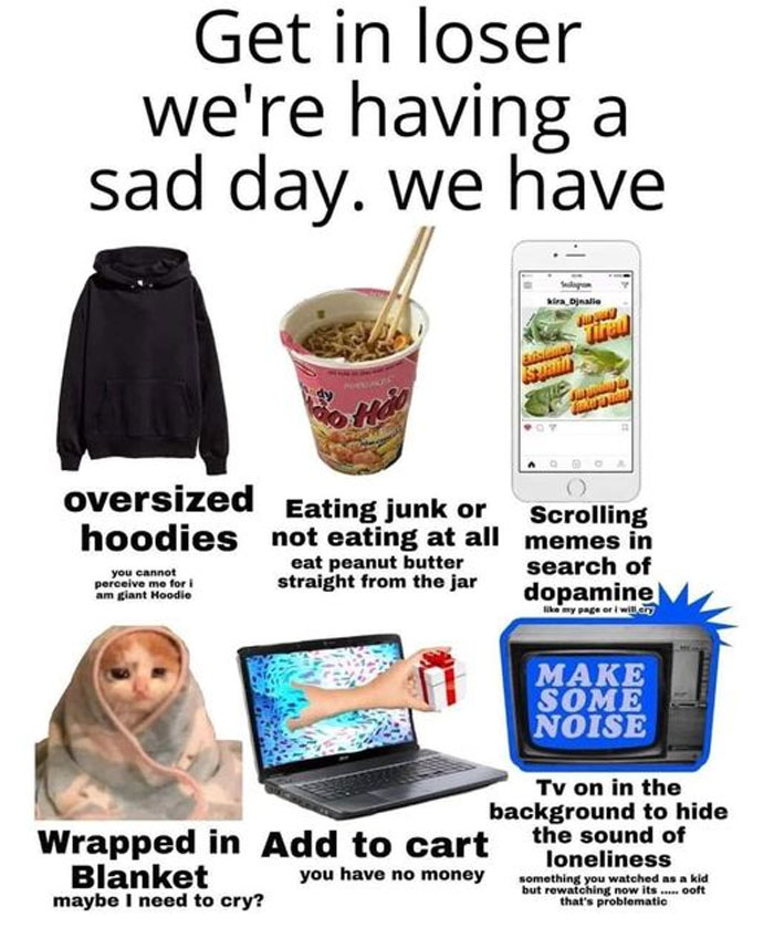 mentally-not-so-well-memes-87-63da60fdefeb0__700